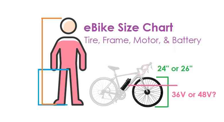 eBike Size Chart (Tire, Frame, Motor, & Battery Size Guide)